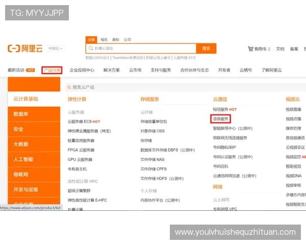开云网址入口功能介绍，揭秘开云官网提供的各种在线服务和入口通道